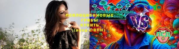 дмт Алексин
